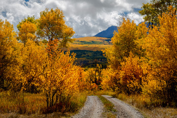 Autumn Color in San Juan and Rocky Mountains of Colorado