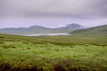 Landscape with Big Migration in Ngorongoro