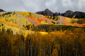 Autumn Color in San Juan and Rocky Mountains of Colorado