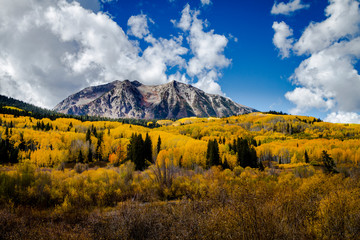 Naklejka premium Autumn Color in San Juan and Rocky Mountains of Colorado