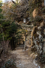 Hiking by Wire on Narrow Trail