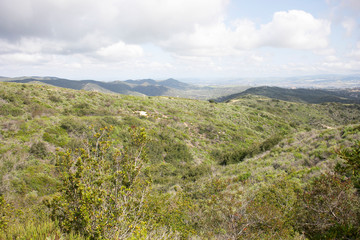 Aliso & Woods Canyon Wilderness trail in the spring after a rainy season, Laguna Beach, CA hiking trails.