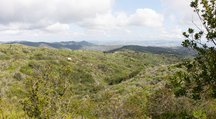 Aliso & Woods Canyon Wilderness trail in the spring after a rainy season, Laguna Beach, CA hiking trails.