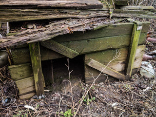 Abandoned backyard at countryside