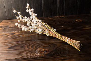 A bouquet of fluffy willow branches (Salix gracilistyla) on a wooden board background