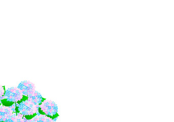 紫陽花　背景