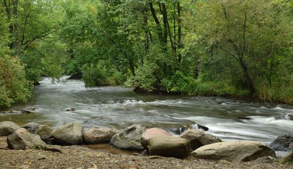River in the park