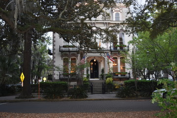 Savannah