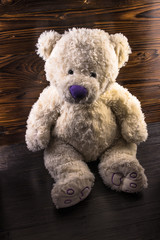 White custom hand made Teddy Bear with purple nose on dark background