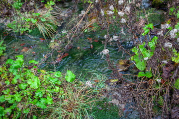 プリトヴィツェ湖群国立公園