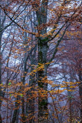 プリトヴィツェ湖群国立公園