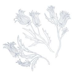 Hand drawn graphic illustration of flowers and leaves with ornaments