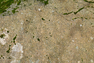 Textured natural background of weathered stone with lichen and moss