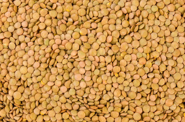 Green lentils texture background. nutrition. bio. natural food ingredient.