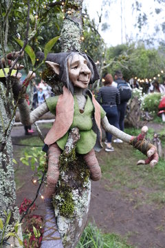 duende en &aacute;rbol