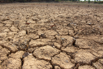 Land with dry and cracked ground