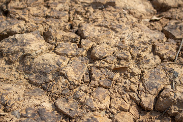 Land with dry and cracked ground