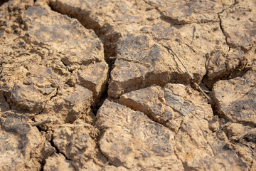 Land with dry and cracked ground