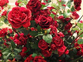 たくさんの薔薇・フラワーアート２ Many roses and flower art