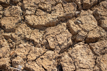 Land with dry and cracked ground