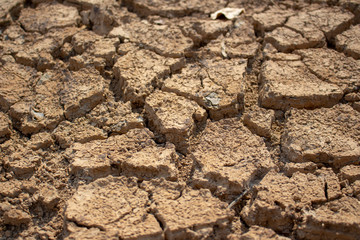 Land with dry and cracked ground