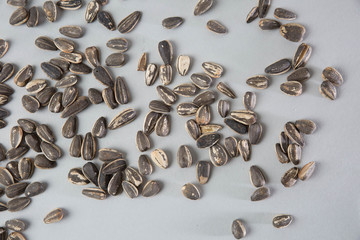 Sunflower Seeds