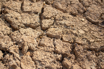 Land with dry and cracked ground