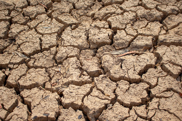 Land with dry and cracked ground