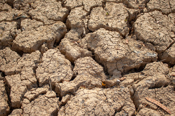 Land with dry and cracked ground