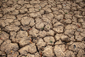 Land with dry and cracked ground