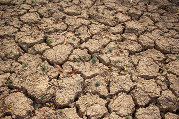 Land with dry and cracked ground