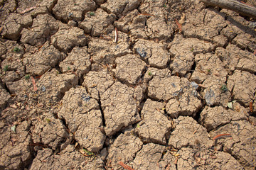 Land with dry and cracked ground