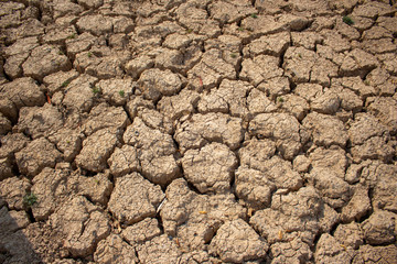 Land with dry and cracked ground