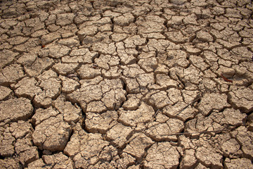 Land with dry and cracked ground