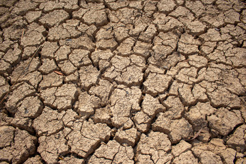 Land with dry and cracked ground