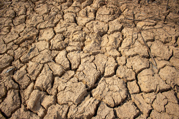 Land with dry and cracked ground