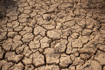 Land with dry and cracked ground