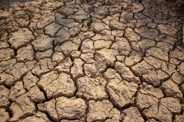 Land with dry and cracked ground