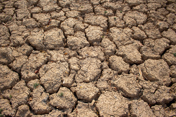 Land with dry and cracked ground