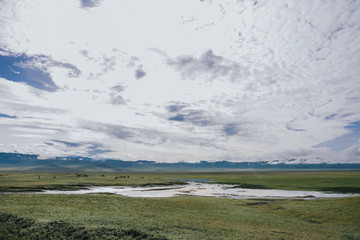 Landscape with Big Migration in Ngorongoro