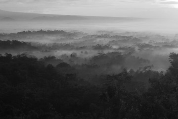 The fog around of Borobudur Temple in the morning. Borobudur is one of beautiful tourism place at Magelang, Central Java, Indonesia.