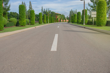 Fototapeta na wymiar Asphalt street road in housing estate surrounded with green trees. (Selective focus)