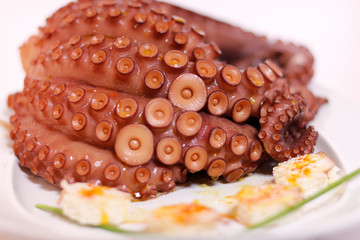 Close-up of cooked octopus on a plate