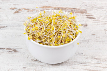 Sprouted broccoli seeds. Healthy lifestyle and nutrition