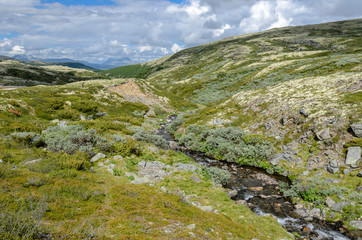 Fototapeta na wymiar Rondane National Park