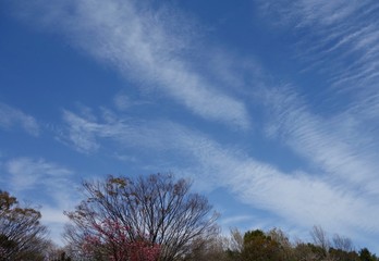 青空