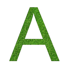 Alphabet letter A made of green grass. Letter isolated on white background