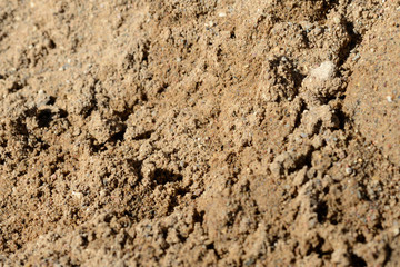 Texture of sand. Construction sand close up background