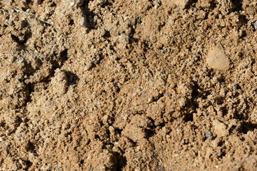 Texture of sand. Construction sand close up background
