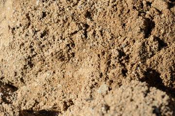 Texture of sand. Construction sand close up background